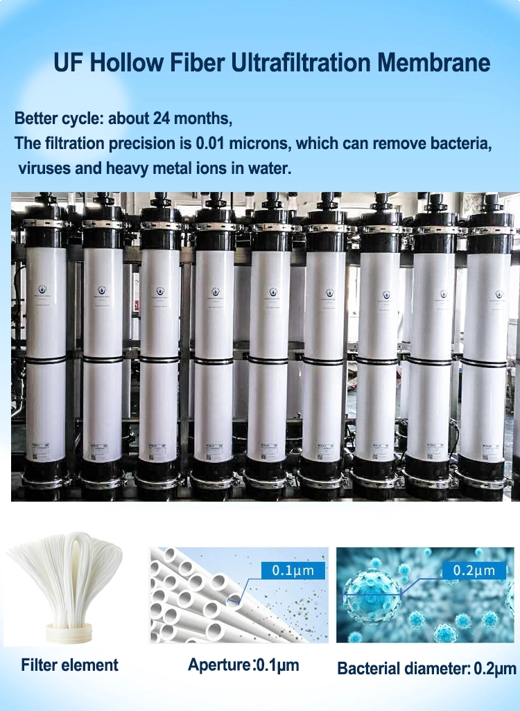 6tph UF Water Treatment Equipment Ultrafiltration System for River Water Well Water Purification