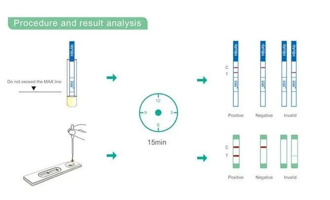 Factory Sale Infectious Diease HP Antibody Plasma Strip/Cassette Test