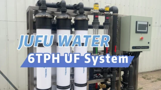 6tph UF 水処理装置河川水井戸水浄化用限外濾過システム